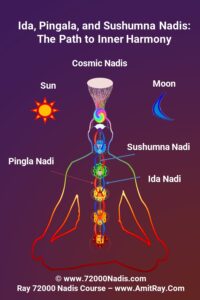 Ida Pingala and Sushumna Nadis and the 7 chakras 
