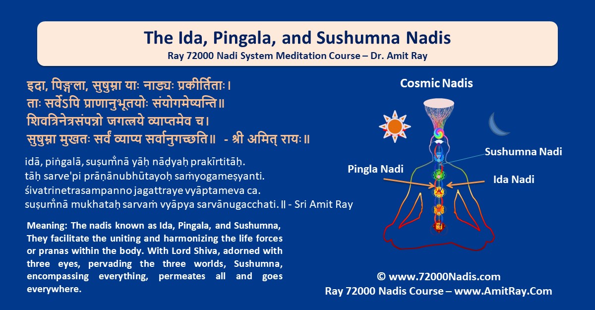 The Ida Pingala and Sushumna Nadis Sri Amit Ray Tradition
